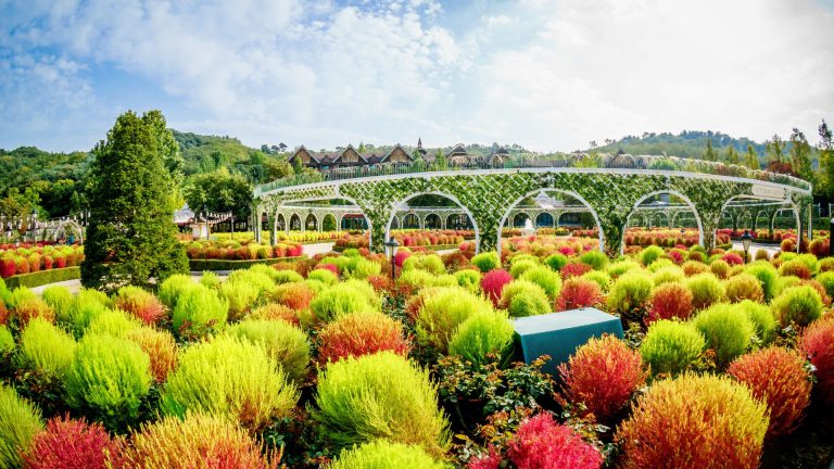 Peaceful Garden