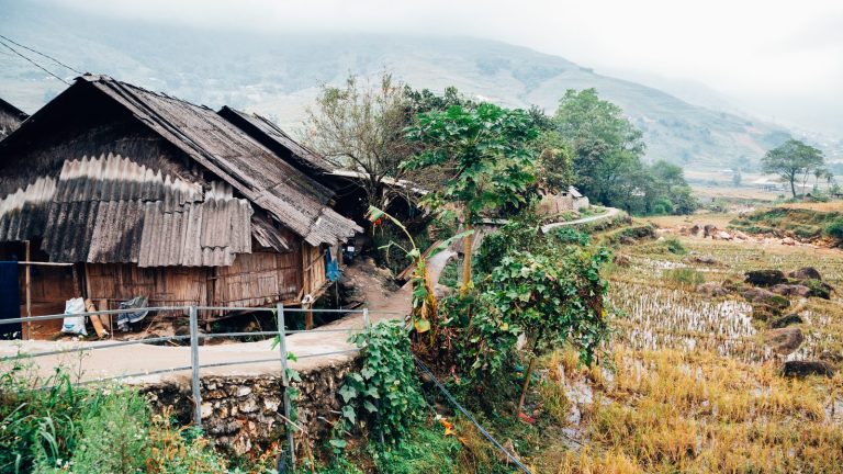 Vibrant Traditional Houses