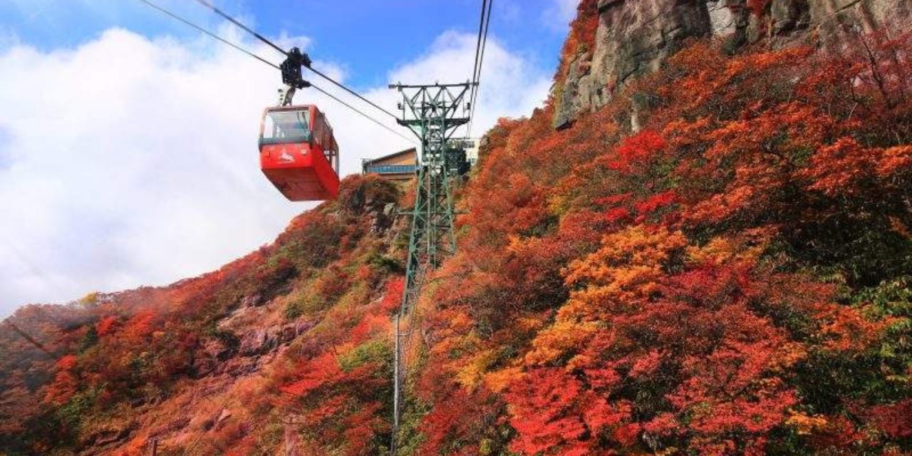 4D3N Explore Hokkaido (Autumn Season)