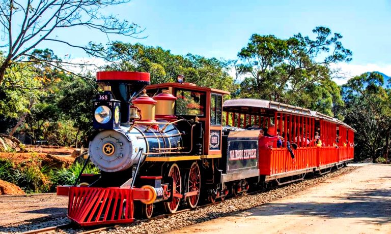 Train Along the Tracks