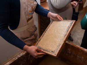 Experience traditional paper making