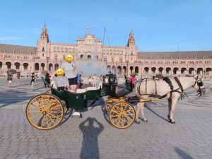 Seville city tour on a carriage