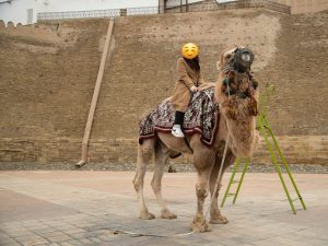 Camel ride in Uzbekistan