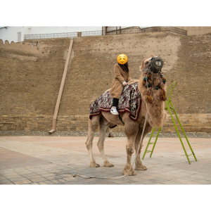 Business Page (300 x 300 px) (1)